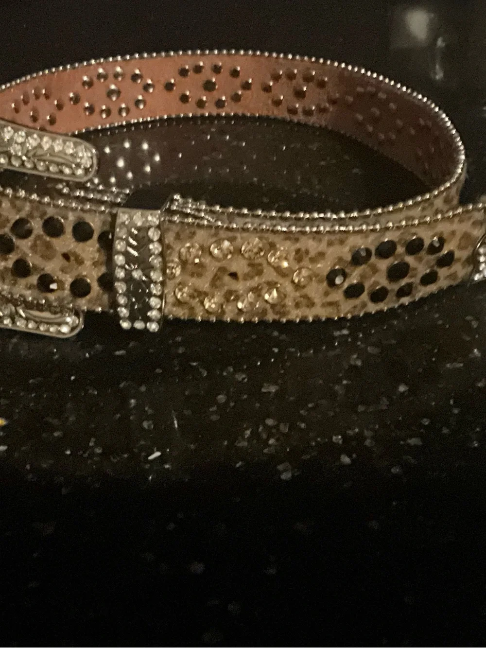 Embellished Leopard Print Western Belt in Brown and Gold